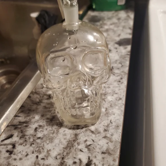 Skull - Picture 2 of 3